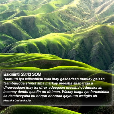 Baxniintii 28:43 SOM Bible Verse Image