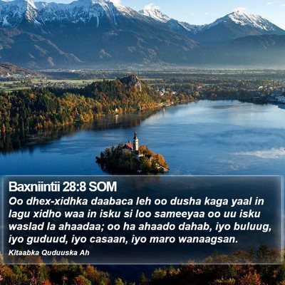 Baxniintii 28:8 SOM Bible Verse Image