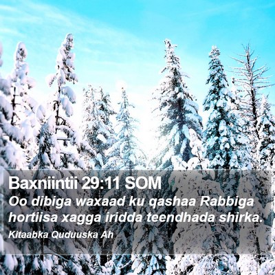 Baxniintii 29:11 SOM Bible Verse Image