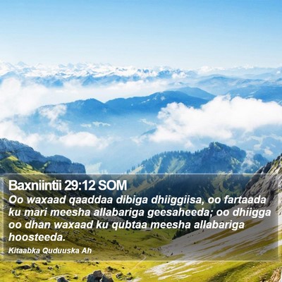 Baxniintii 29:12 SOM Bible Verse Image