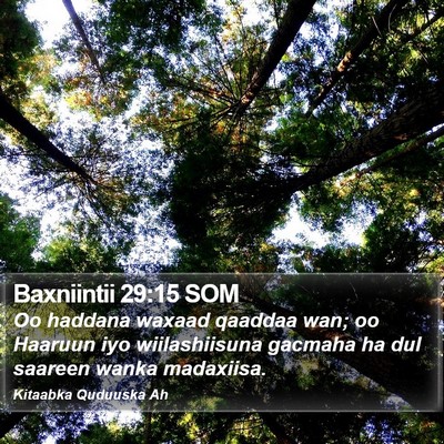 Baxniintii 29:15 SOM Bible Verse Image