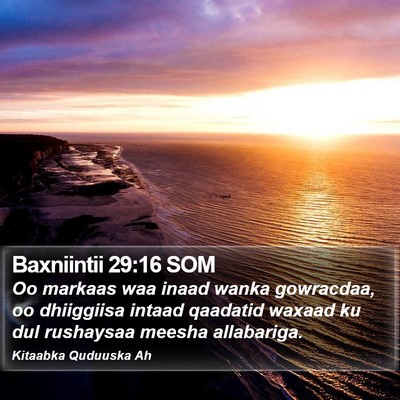 Baxniintii 29:16 SOM Bible Verse Image