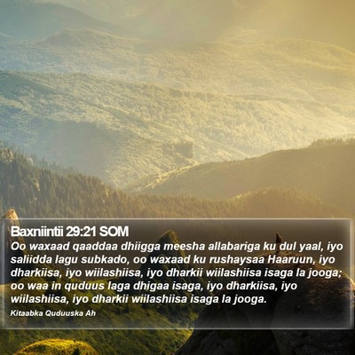 Baxniintii 29:21 SOM Bible Verse Image