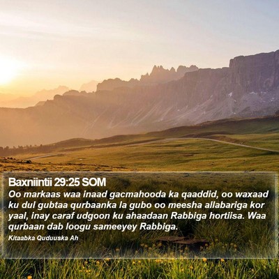 Baxniintii 29:25 SOM Bible Verse Image