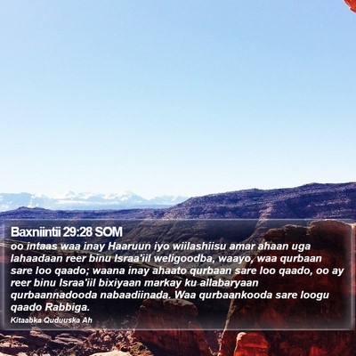 Baxniintii 29:28 SOM Bible Verse Image