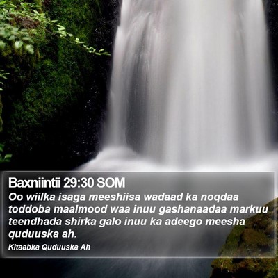 Baxniintii 29:30 SOM Bible Verse Image