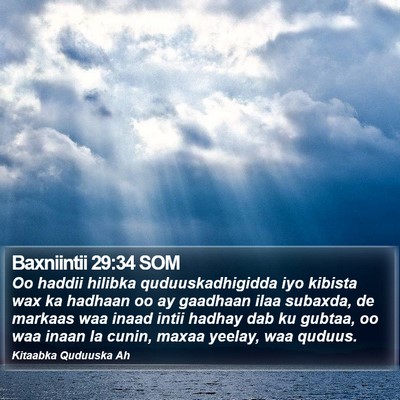 Baxniintii 29:34 SOM Bible Verse Image
