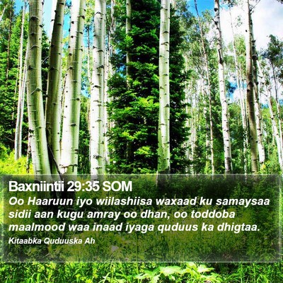 Baxniintii 29:35 SOM Bible Verse Image