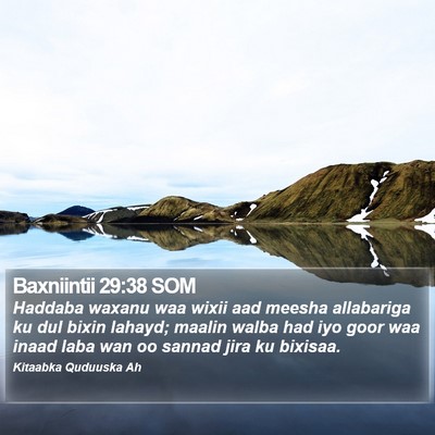 Baxniintii 29:38 SOM Bible Verse Image