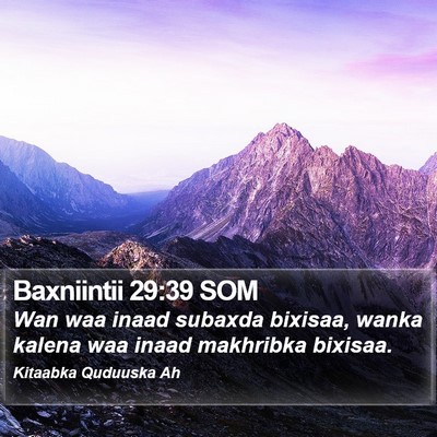 Baxniintii 29:39 SOM Bible Verse Image