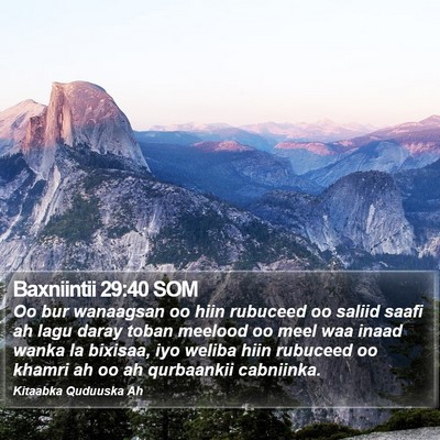Baxniintii 29:40 SOM Bible Verse Image