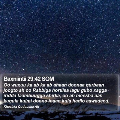 Baxniintii 29:42 SOM Bible Verse Image