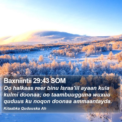 Baxniintii 29:43 SOM Bible Verse Image