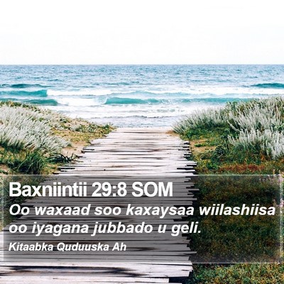 Baxniintii 29:8 SOM Bible Verse Image