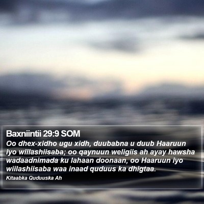Baxniintii 29:9 SOM Bible Verse Image