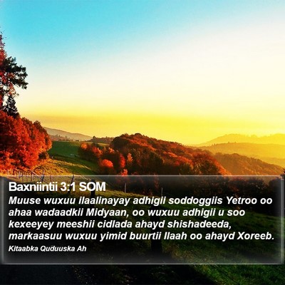 Baxniintii 3:1 SOM Bible Verse Image