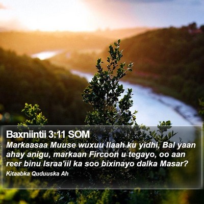 Baxniintii 3:11 SOM Bible Verse Image