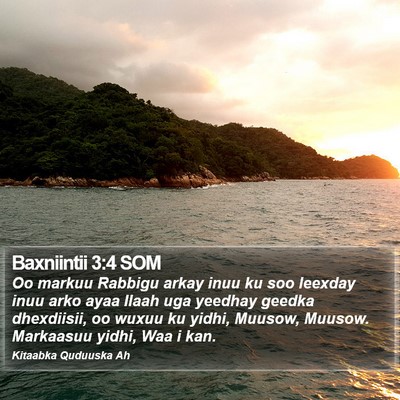 Baxniintii 3:4 SOM Bible Verse Image