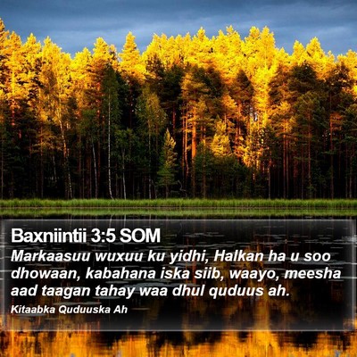 Baxniintii 3:5 SOM Bible Verse Image