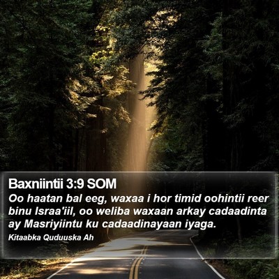 Baxniintii 3:9 SOM Bible Verse Image