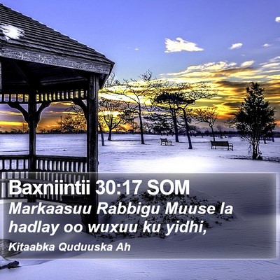 Baxniintii 30:17 SOM Bible Verse Image