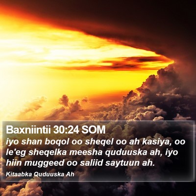 Baxniintii 30:24 SOM Bible Verse Image