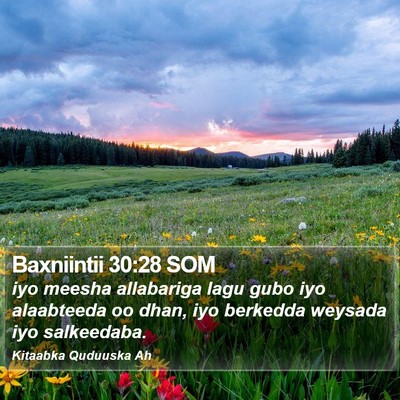 Baxniintii 30:28 SOM Bible Verse Image