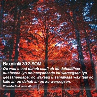 Baxniintii 30:3 SOM Bible Verse Image