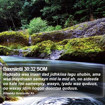 Baxniintii 30:32 SOM Bible Verse Image