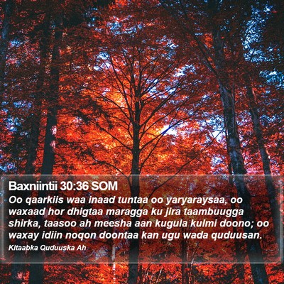 Baxniintii 30:36 SOM Bible Verse Image