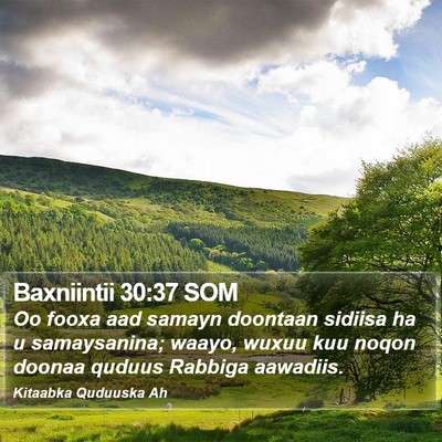 Baxniintii 30:37 SOM Bible Verse Image