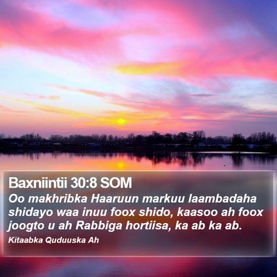 Baxniintii 30:8 SOM Bible Verse Image