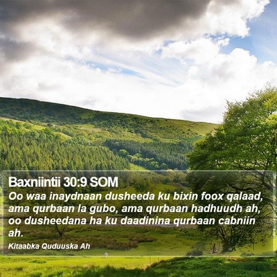 Baxniintii 30:9 SOM Bible Verse Image