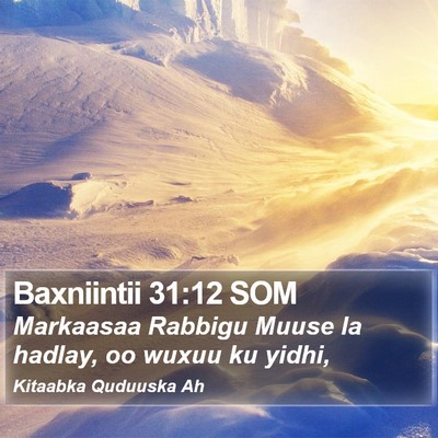 Baxniintii 31:12 SOM Bible Verse Image