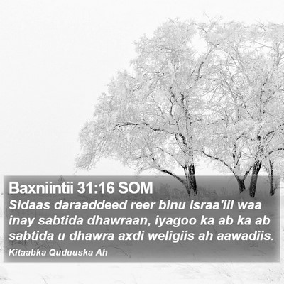 Baxniintii 31:16 SOM Bible Verse Image