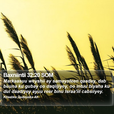 Baxniintii 32:20 SOM Bible Verse Image
