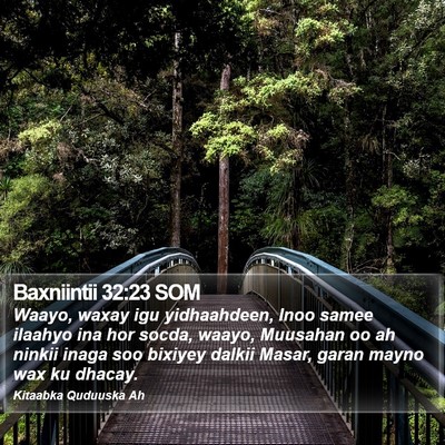 Baxniintii 32:23 SOM Bible Verse Image