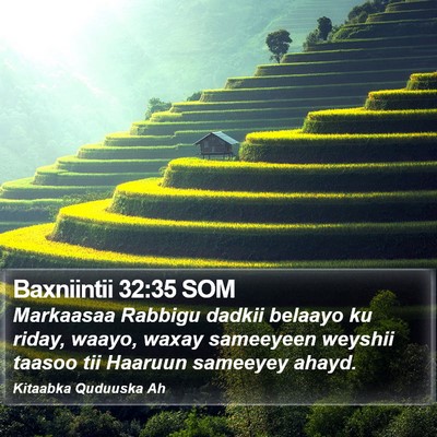 Baxniintii 32:35 SOM Bible Verse Image