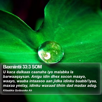 Baxniintii 33:3 SOM Bible Verse Image