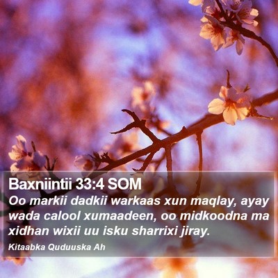 Baxniintii 33:4 SOM Bible Verse Image