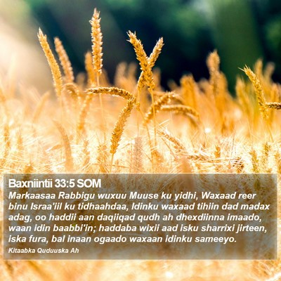 Baxniintii 33:5 SOM Bible Verse Image
