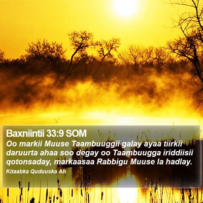 Baxniintii 33:9 SOM Bible Verse Image