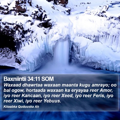 Baxniintii 34:11 SOM Bible Verse Image