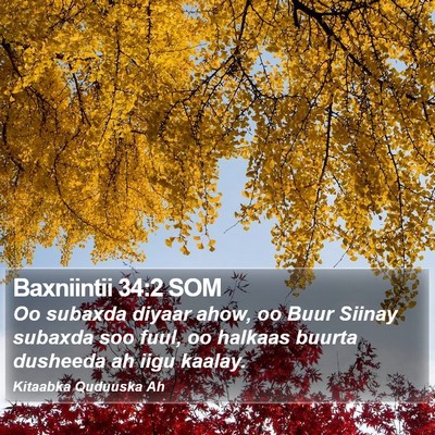 Baxniintii 34:2 SOM Bible Verse Image