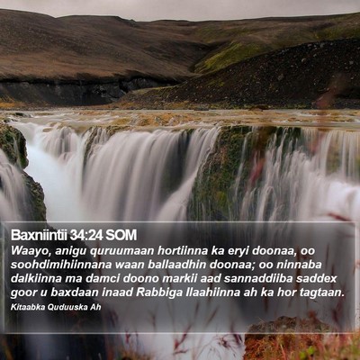 Baxniintii 34:24 SOM Bible Verse Image
