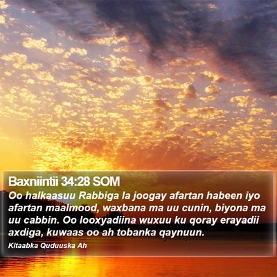 Baxniintii 34:28 SOM Bible Verse Image
