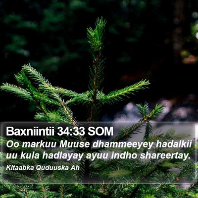 Baxniintii 34:33 SOM Bible Verse Image