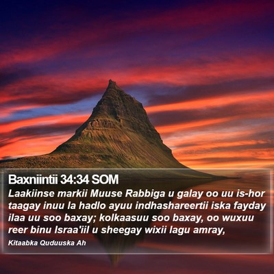 Baxniintii 34:34 SOM Bible Verse Image