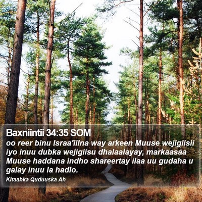 Baxniintii 34:35 SOM Bible Verse Image