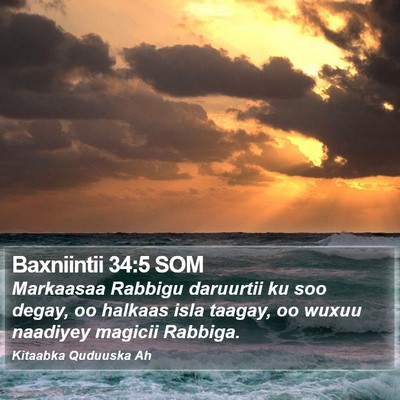 Baxniintii 34:5 SOM Bible Verse Image